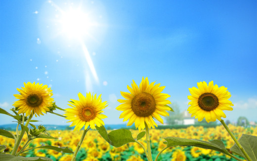 495450 (a): :1920x1200
